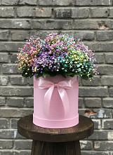 Цветочная композиция из Гипсофила и Розы в шляпной коробке в Закаменске