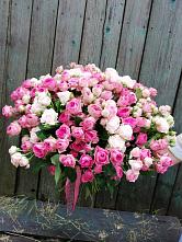 Букет Розовые кустовые розы Натали и Лав Лидия #REPLACE_PRED# Закаменске
