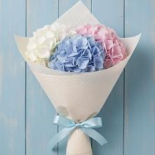 Букет цветов из:  Гортензия в Закаменске