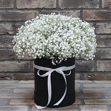 Цветочная композиция из Гипсофила в шляпной коробке в Закаменске