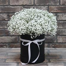 Цветочная композиция из Гипсофила в шляпной коробке в Закаменске